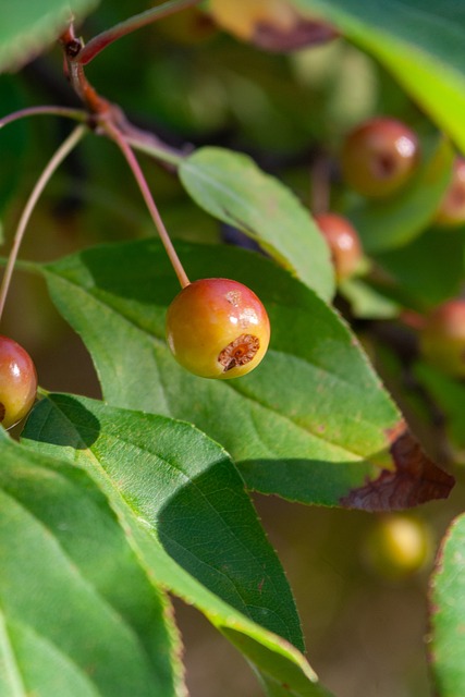 时拥有良好 时拥有良好