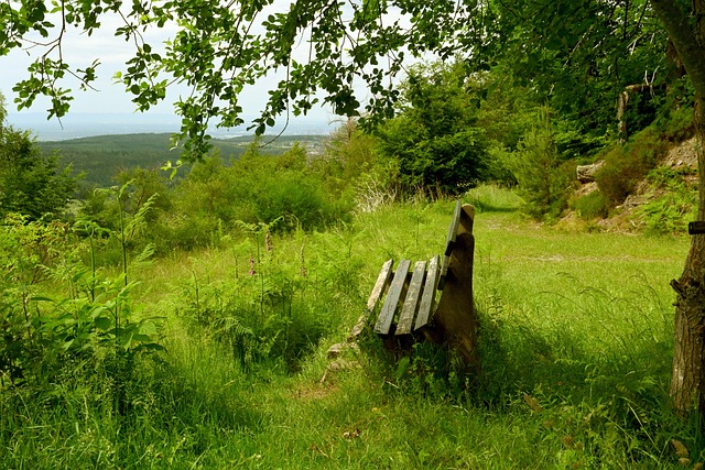 无疑是快速 无疑是快速