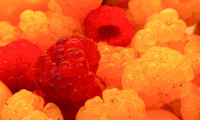 怀特仅用了 怀特仅用了