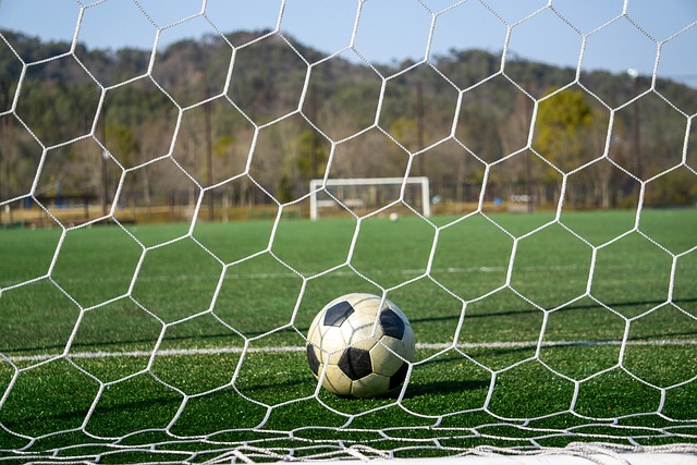 哈登的到来 哈登的到来