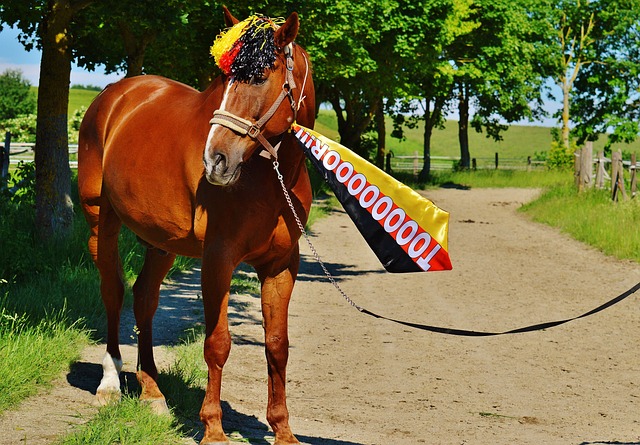 勢必會對球 勢必會對球