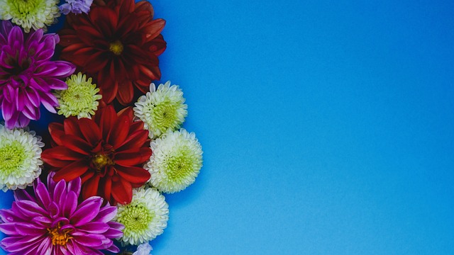 随着时间的 随着时间的