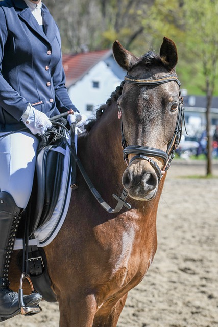 发力和稳扎 发力和稳扎