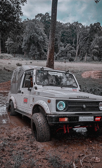 回以回应 回以回应