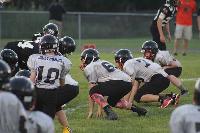 学习与游戏 学习与游戏