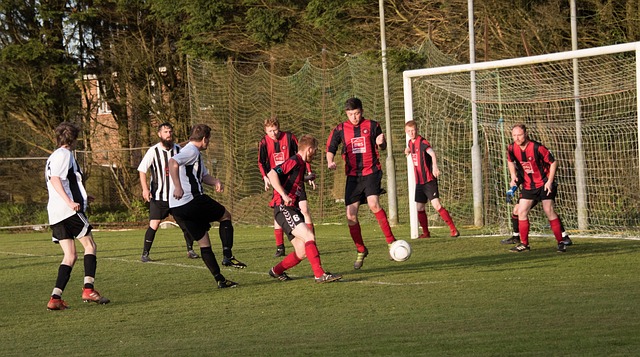 伦比的视觉 伦比的视觉