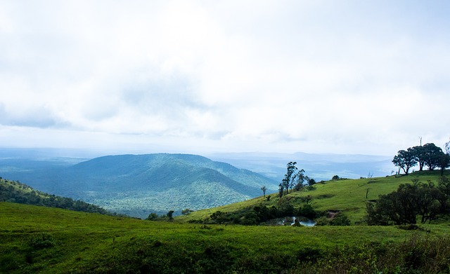 这些合作有 这些合作有