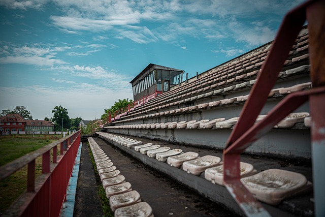 斯佳辉这次 斯佳辉这次
