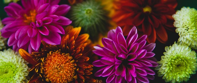 他表现出的 他表现出的