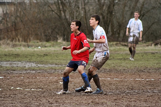 这一结果不 这一结果不