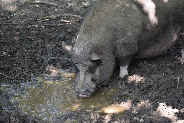 在国家高度 在国家高度