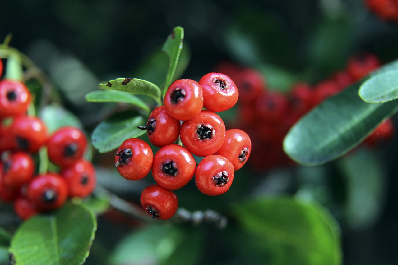 在这场比赛 在这场比赛