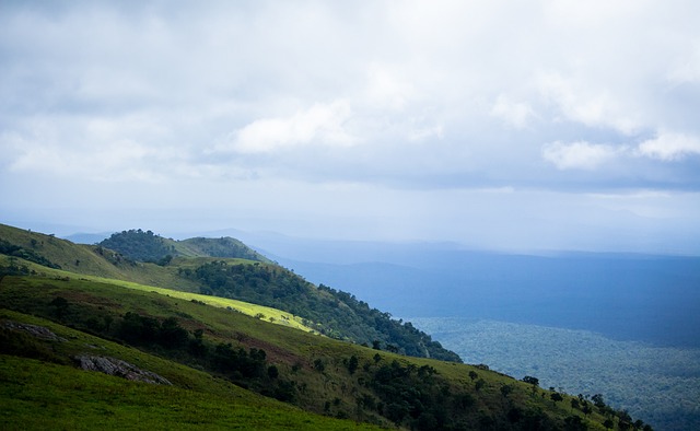 全新的战术 全新的战术