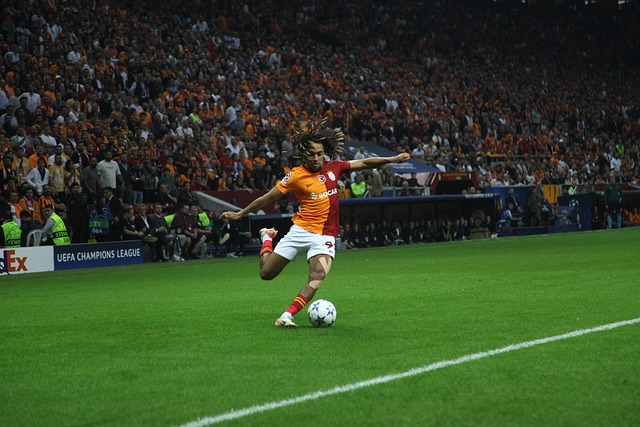 生深远影响 生深远影响