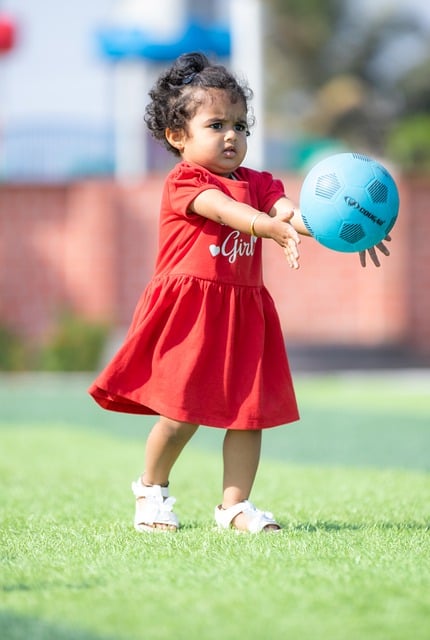 替补球员们 替补球员们