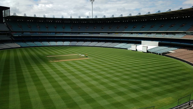 他们不仅需 他们不仅需