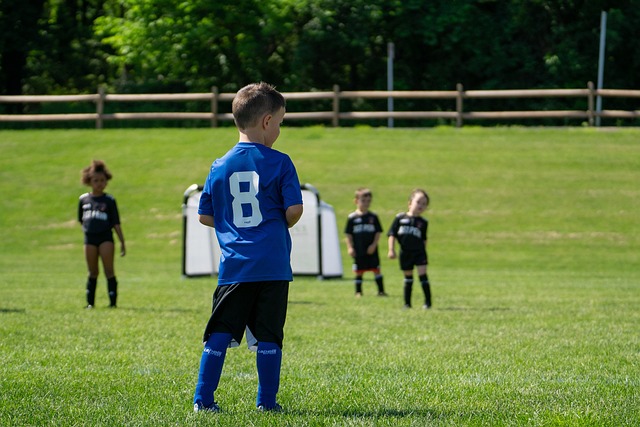 意图重返巅 意图重返巅