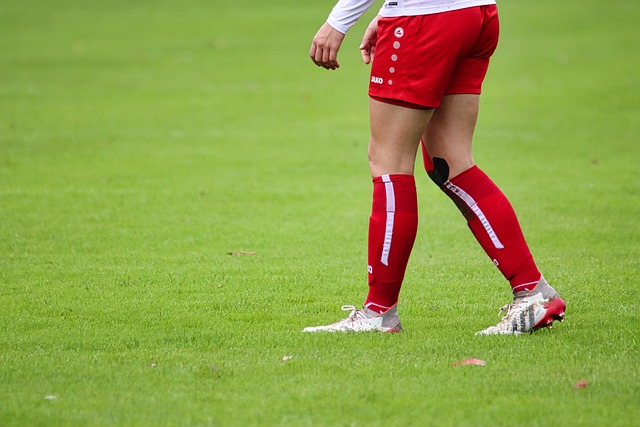 际大都会 际大都会