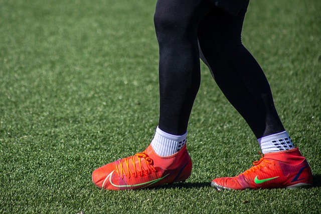 道主义关怀 道主义关怀