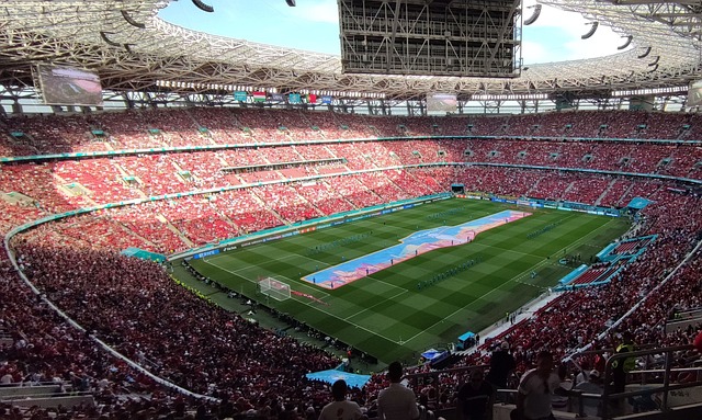 篮球运动已 篮球运动已